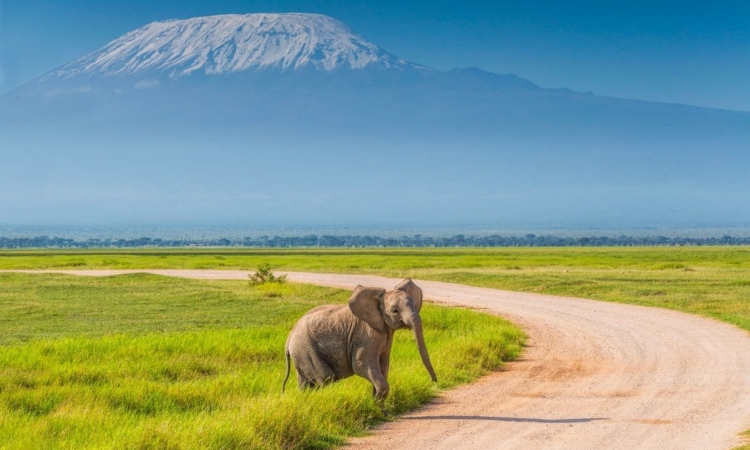 Amboseli National Park in November