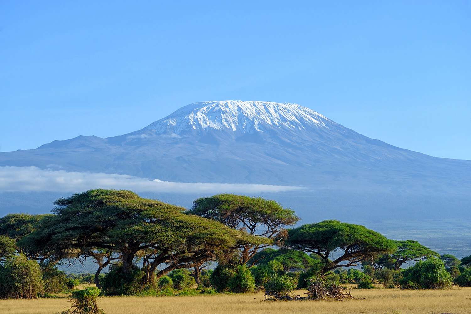 Mount Kilimanjaro | Best Time to Climb & Amboseli Views