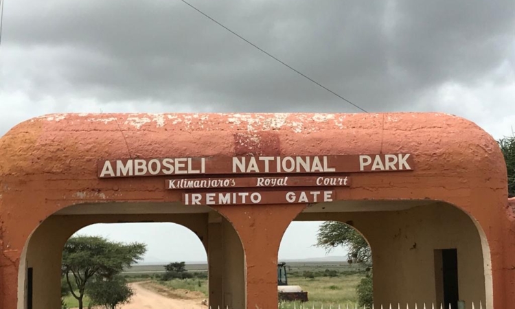 Amboseli Entry Fees